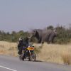 Magellan Motorcycle Tours, Self Guided, South Africa, Namibia, Botswana